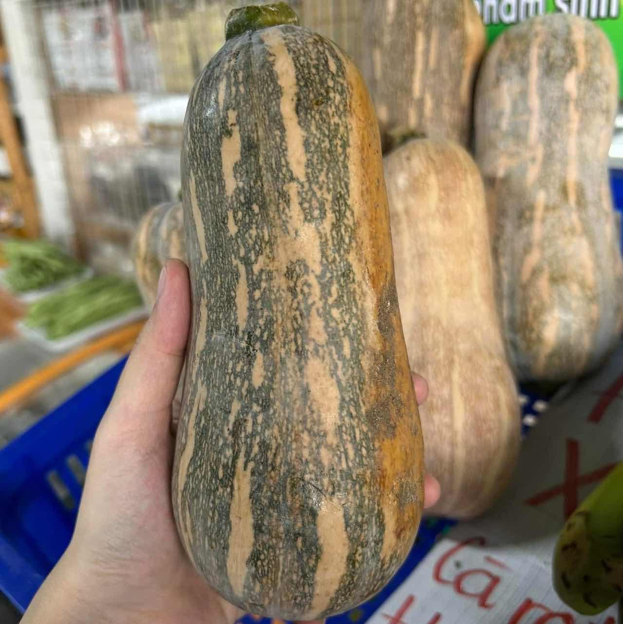 BB - Bí Đỏ hữu cơ