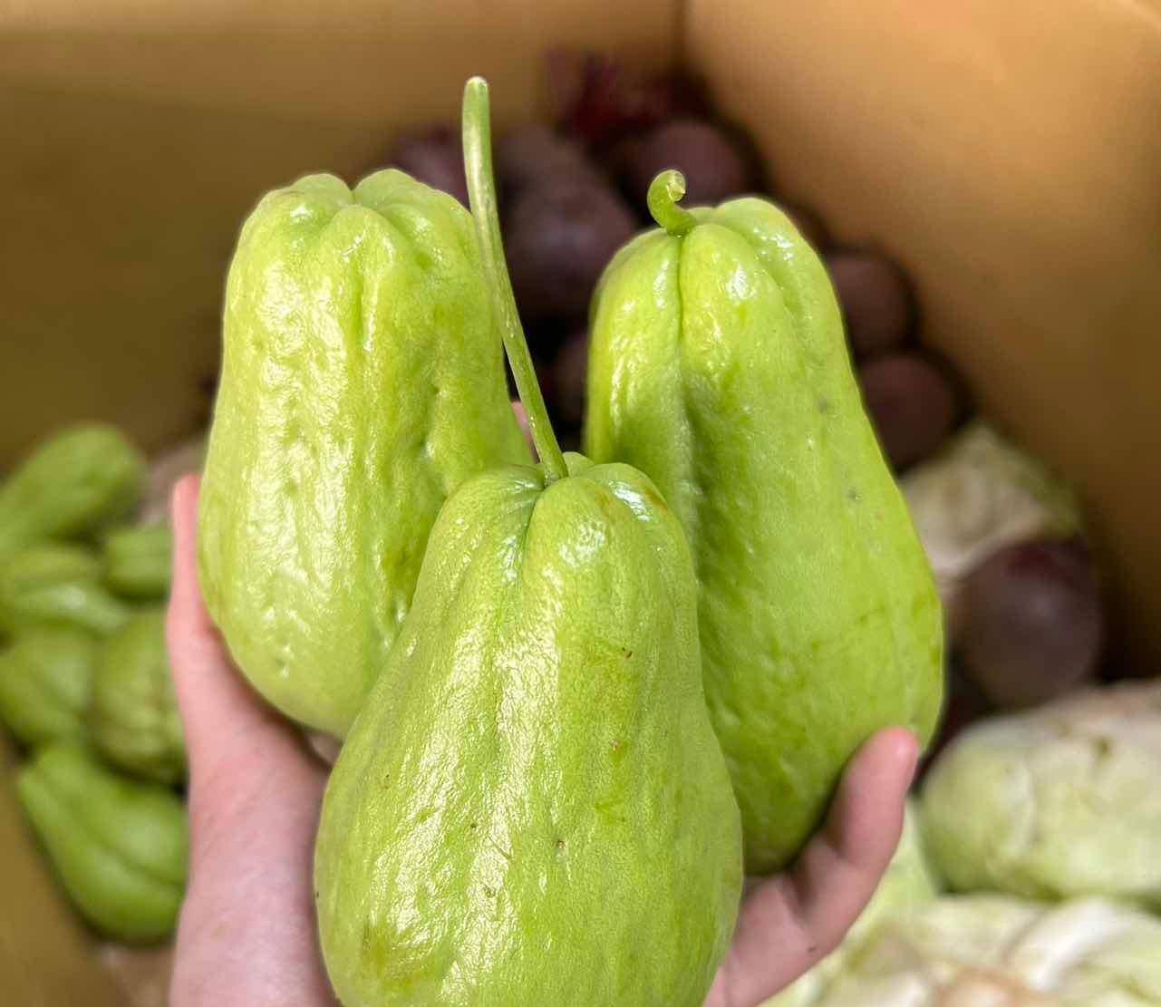 TSF - Su Su hữu cơ