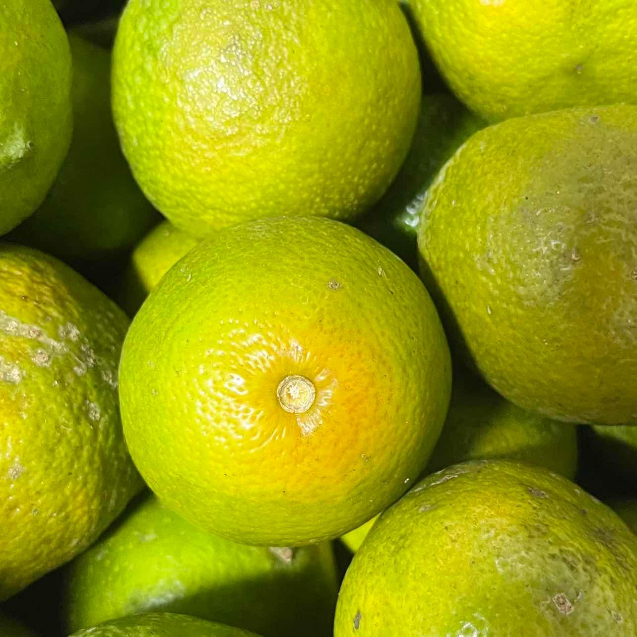 Chanh đào ruột vàng