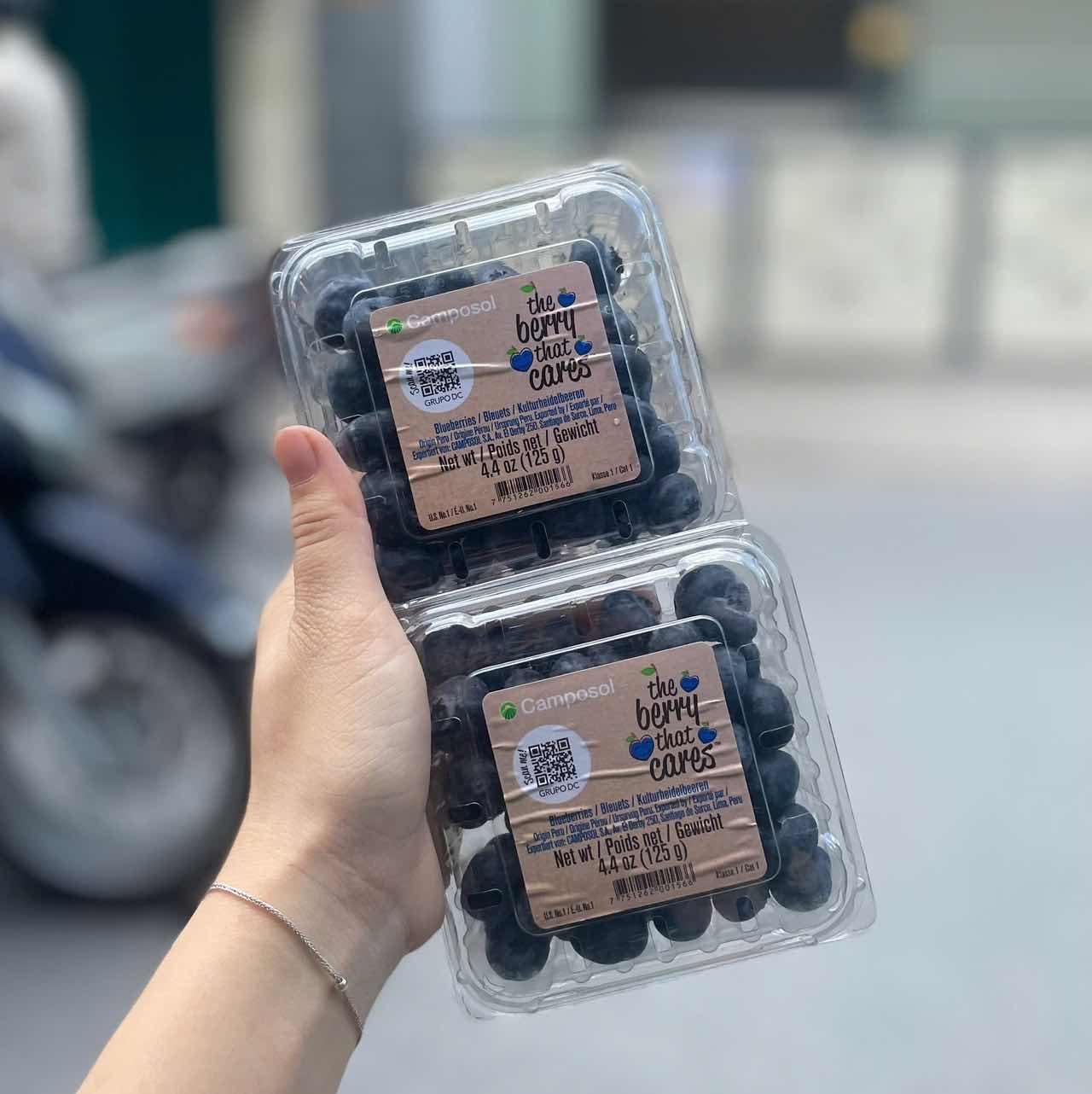 Việt quất Peẻu 125g