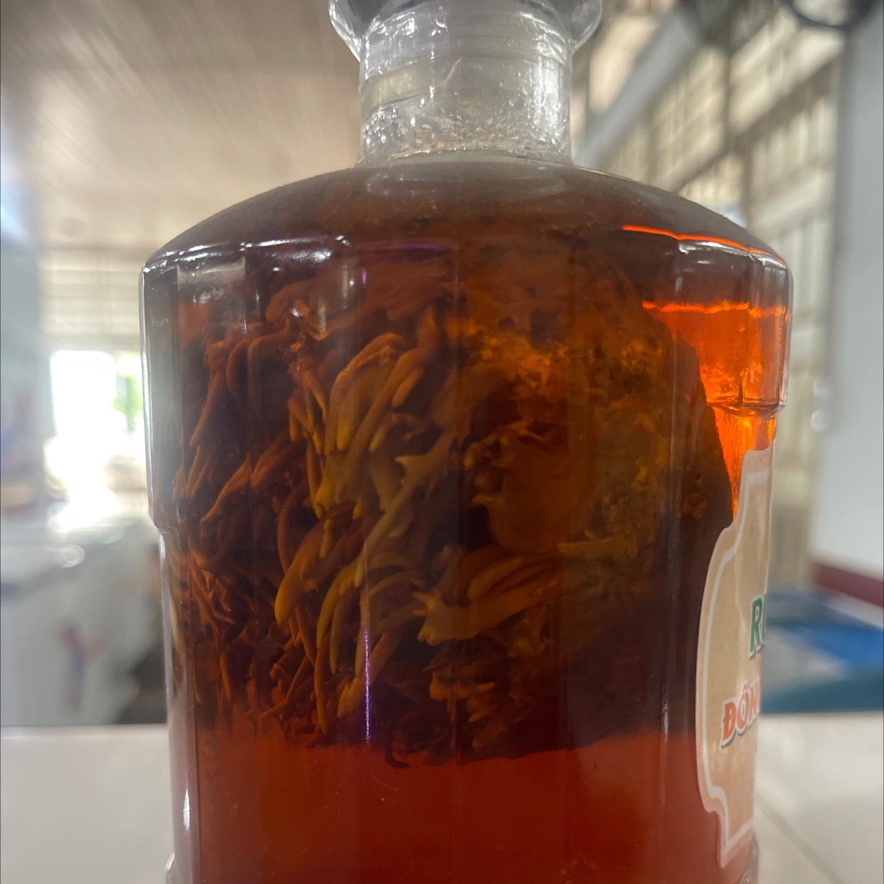 Rượu đông trùng